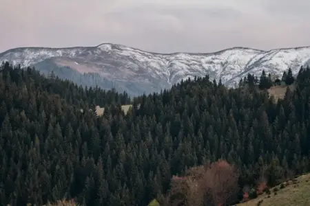 Román Autópálya Matrica Vásárlás és Utazási Úti Tippek